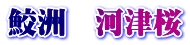 鮫洲　河津桜