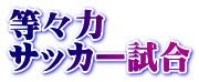等々力 サッカー試合