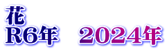 花 R6年　2024年
