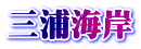 三浦海岸