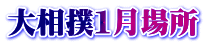 告oPꏊ