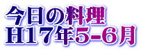 ̗ H17N5-6