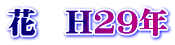 ԁ@H29N