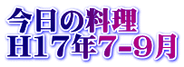 ̗ H17N7-9