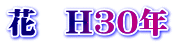 花　H30年