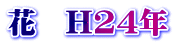 ԁ@H24N