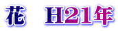 ԁ@H21N