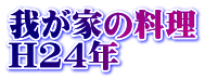 䂪Ƃ̗ H24N