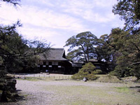 yX