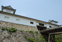 VE